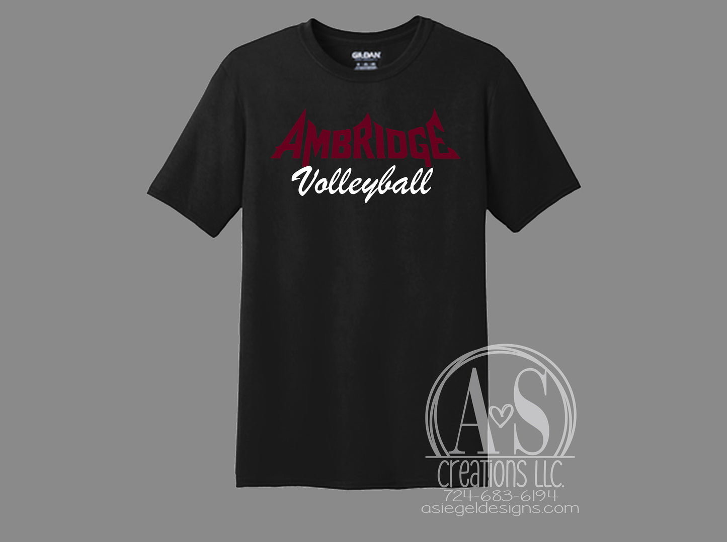 Ambridge Volleyball - Black