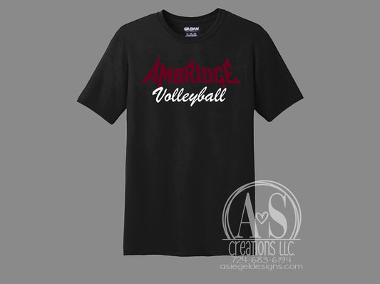 Ambridge Volleyball - Black